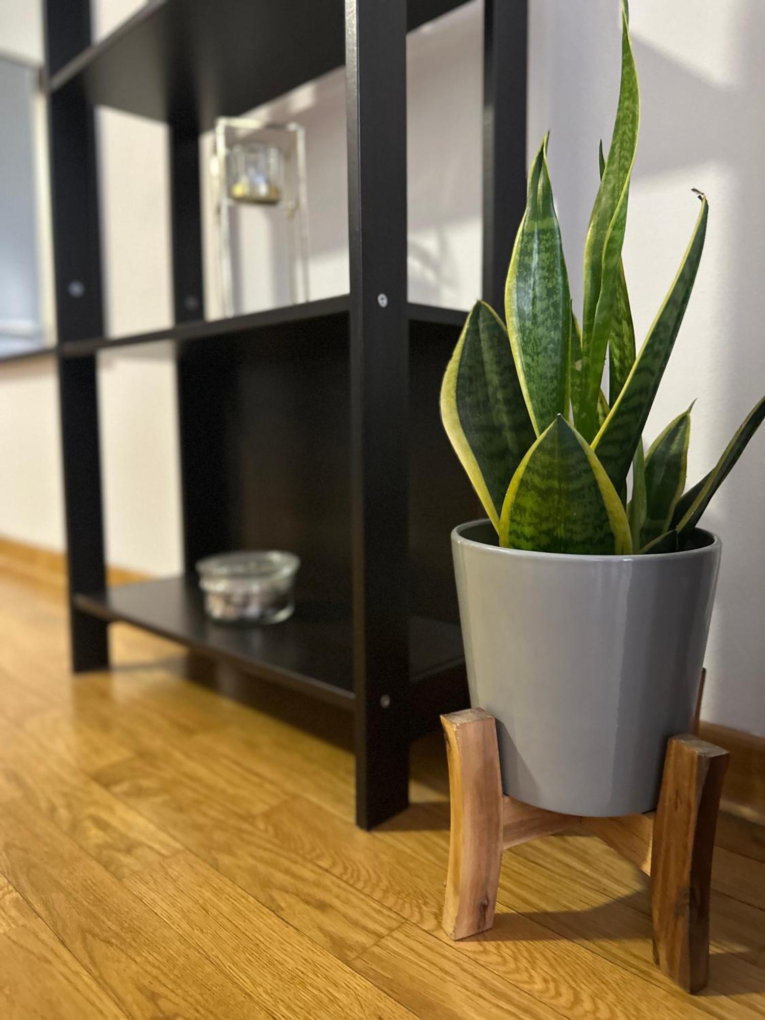Apartmán Charlie Aviv Park Bělehrad Exteriér fotografie